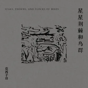 眼泪是什么