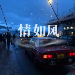 情如风