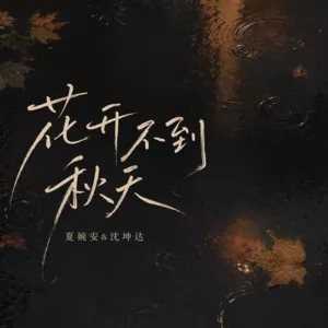 花开不到秋天