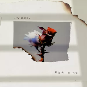 TWINROSE