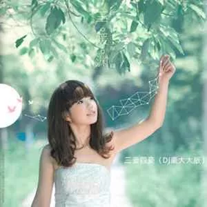 三妻四妾(DJ豪大大版)